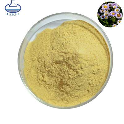 Pure Natural Breviscapine Powder Erigeron Breviscapus Extract