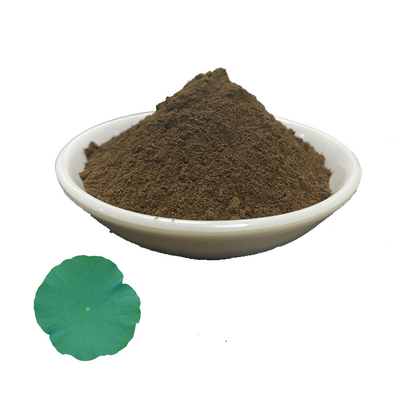 Lotus Leaf Extract 50% Purity Nuciferine Powder Cas 475-83-2