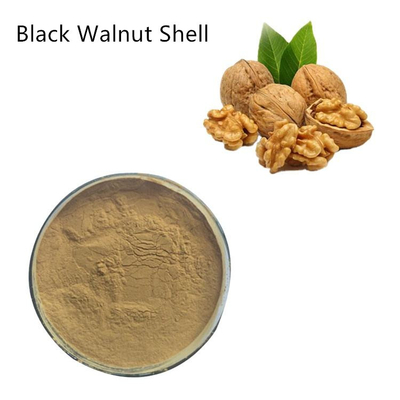 Solvent Extraction Pure Plant Extracts Black Walnut Shell Powder