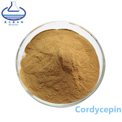 73-03-0 Stevia Plant Extract , 3% 5% Cordyceps Militaris Powder