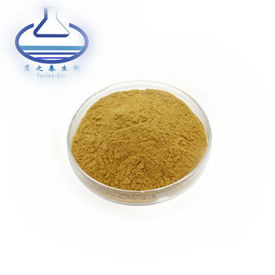 Herb Rutine Troxerutine Rutoside Troxerutin Extract Rutin Powder