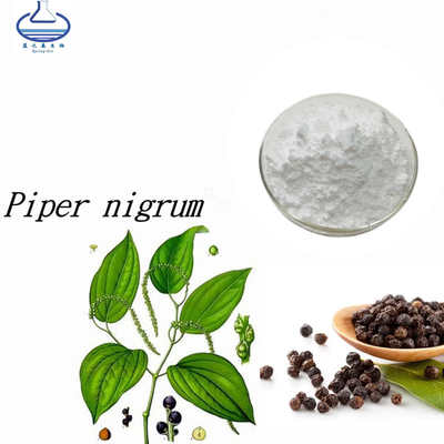 Pure Natural Piper Nigrum Black Pepper Fruit Extract 95% Piperine Powder
