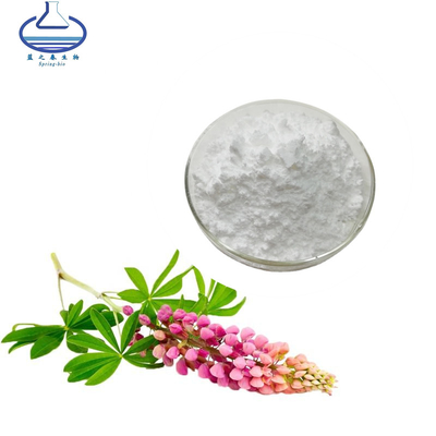 8% Lupeol Lupinus Polyphyllus Extract Pure Plant Extracts CAS NO. 545-47-1