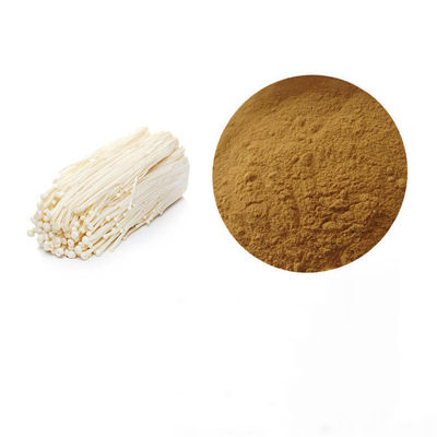 Enoki Mushroom  Pure Plant Extracts 30% Polysaccharides Powder Organic