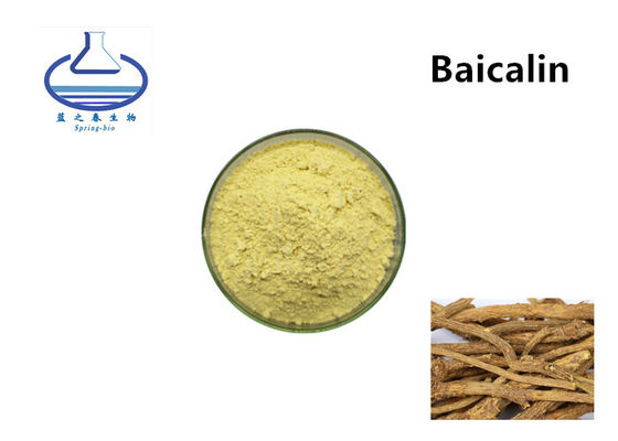 Scutellaria Baicalensis Root Extract Baicalin Powder CAS 21967-41-9