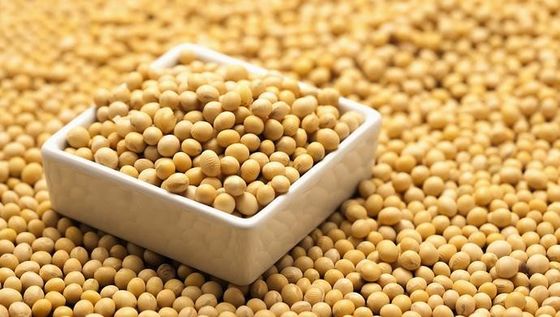 8002-43-5 Glutathione Extract Soy Isoflavones 40 For Womens Cardio