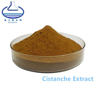 Supply High Quality Cistanche Tubulosa Deserticola Extract Powder