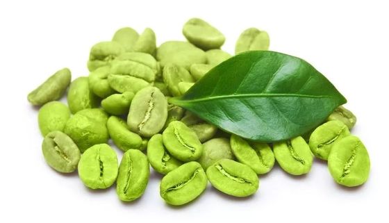 Chlorogenic Acid Green Coffee Bean Extract