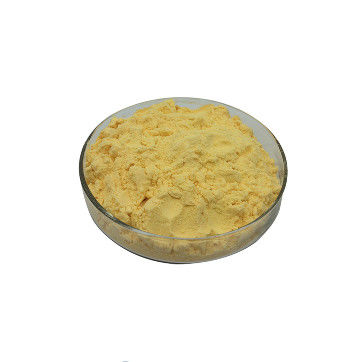 Herb Rutine Troxerutine Rutoside Troxerutin Extract Rutin Powder