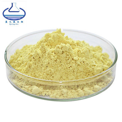 Rhizoma Kaempferiae Extract 98% Kaempferol Powder CAS 520-18-3