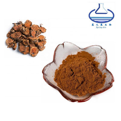 Spring bio Rhodiola Rosea Root Extract Brown red powder resist fatigue