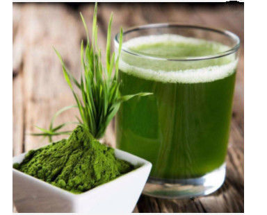 Natural Pure Barley Grass Powder Food Grade  Cool Dry Place Storage