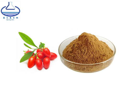 Wholesale High Quality Polysaccharides Powder Lycium Barbarum Wolfberry Extract