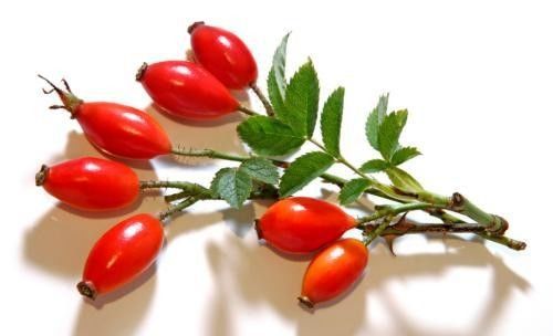 Fructus Rosae Laevigatae Extract, For Food Grade Use, Water Soluble