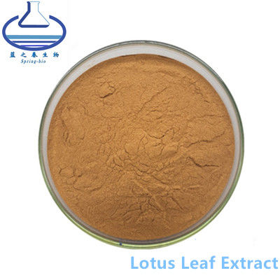 Nuciferine Lotus Leaf Extract Powder CAS 475-83-2 für Lebensmittel-Zusatzstoff