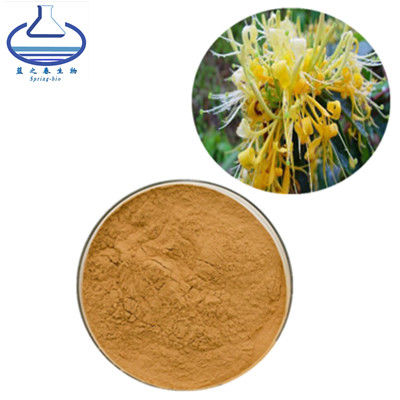 Honeysuckle Chlorogenic Acid Extract, Lonicera Japonica-Blumen-Auszug-Pulver